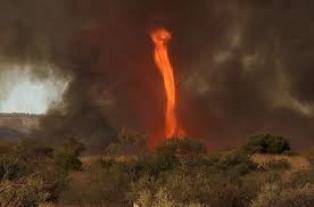 Allah le Tout-Puissant S’est chargé de défendre Son prophète contre les railleurs